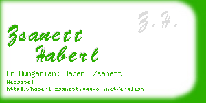 zsanett haberl business card